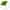 Phytocyane TRAITEMENT ANTICHUTE FEMME