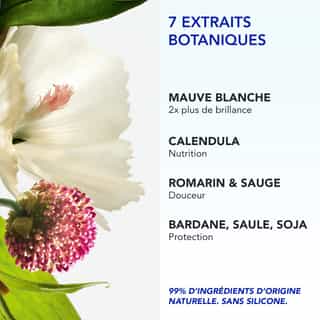 Phyto 7 Elixir Crème de Jour Universelle 100ml