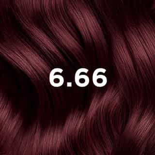 COLORATION PHYTO 6.66 Chatain Clair Cerise Intense