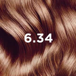 COLORATION PHYTO 6.34 Blond Foncé Cuivré