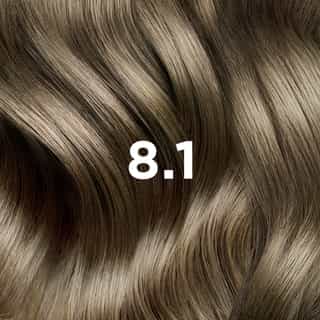 COLORATION PHYTO 8.1 Blond Clair Cendré