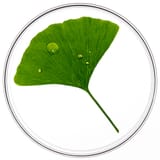 Phytocyane TRAITEMENT ANTICHUTE FEMME