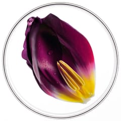 Phytocyane TRAITEMENT ANTICHUTE FEMME