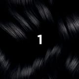 COLORATION PHYTO 1 Noir