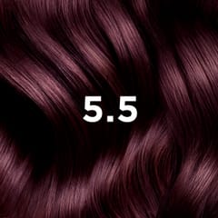 COLORATION PHYTO 5.5 Châtain Clair Acajou