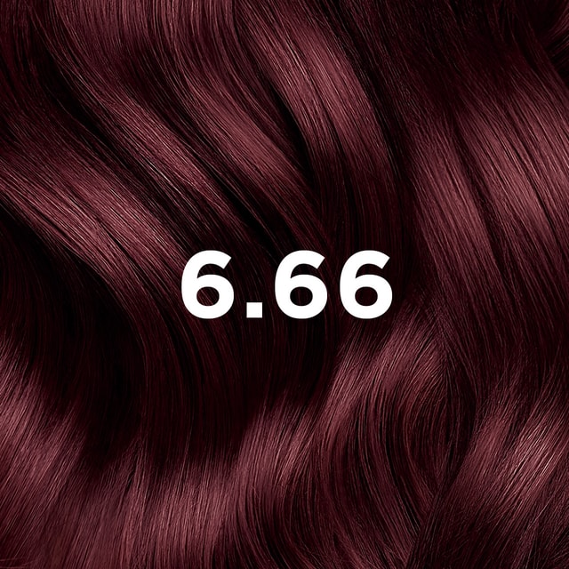 6.66 Chatain Clair Cerise Intense