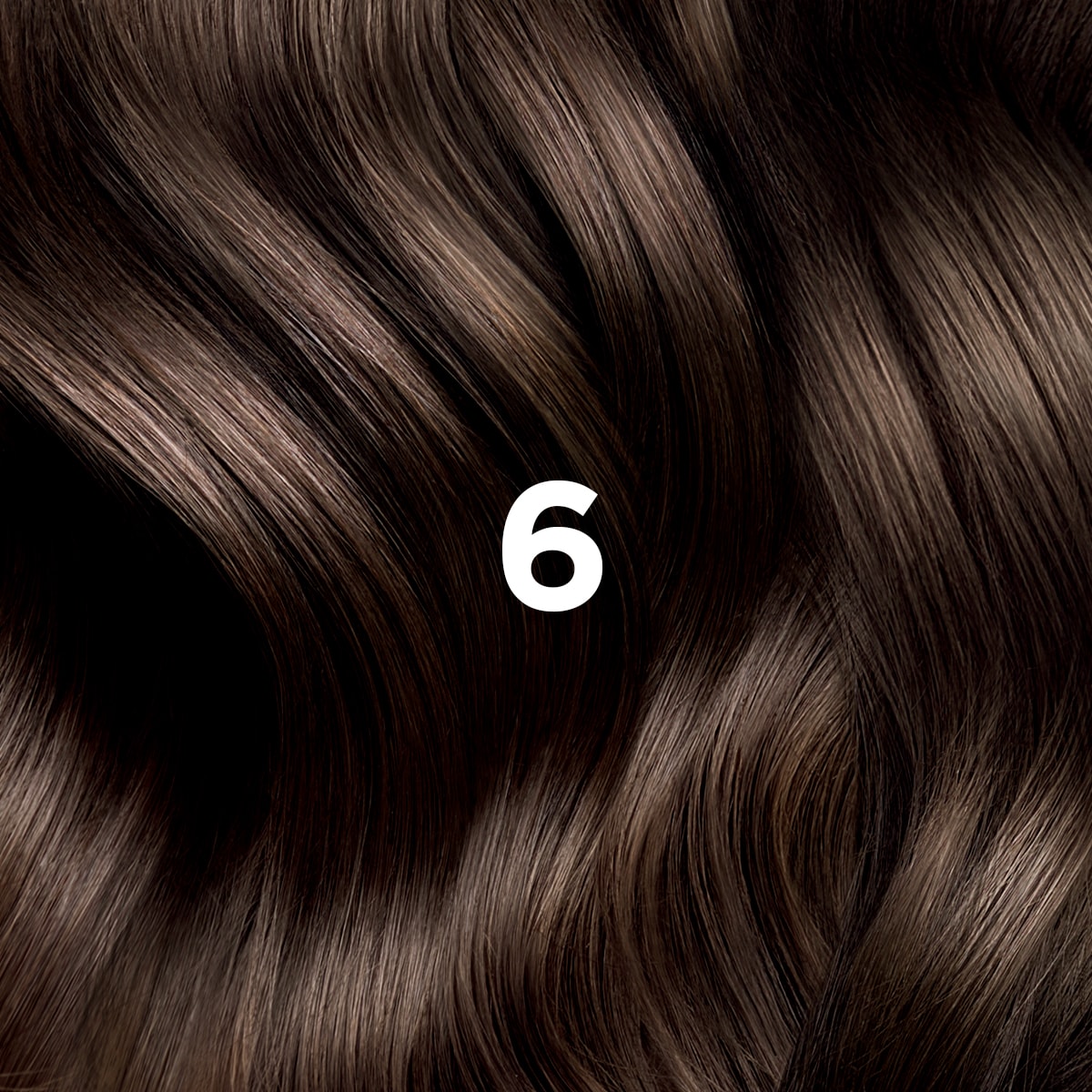 COLORATION PHYTO 6 Blond Foncé
