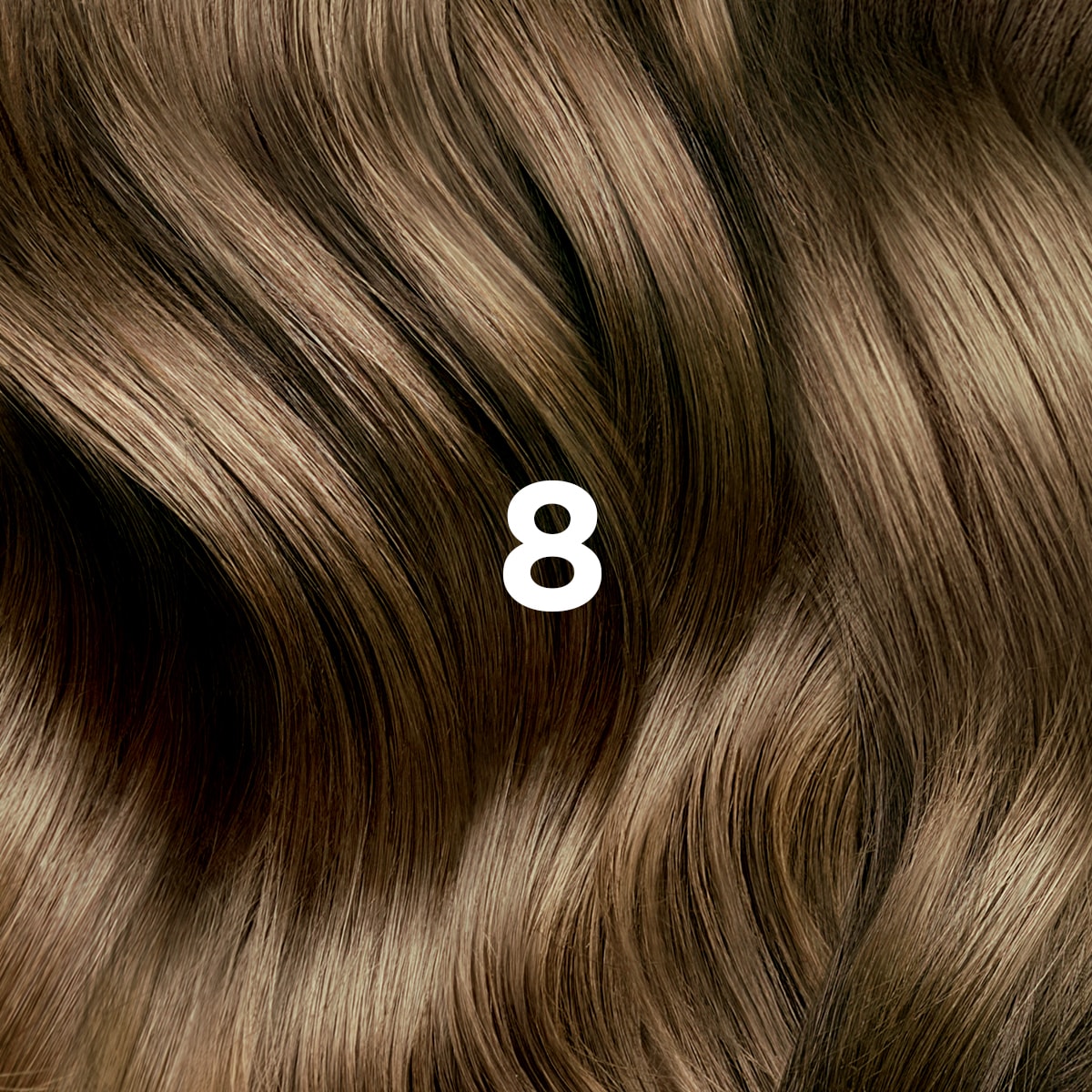 COLORATION PHYTO 8 Blond Clair