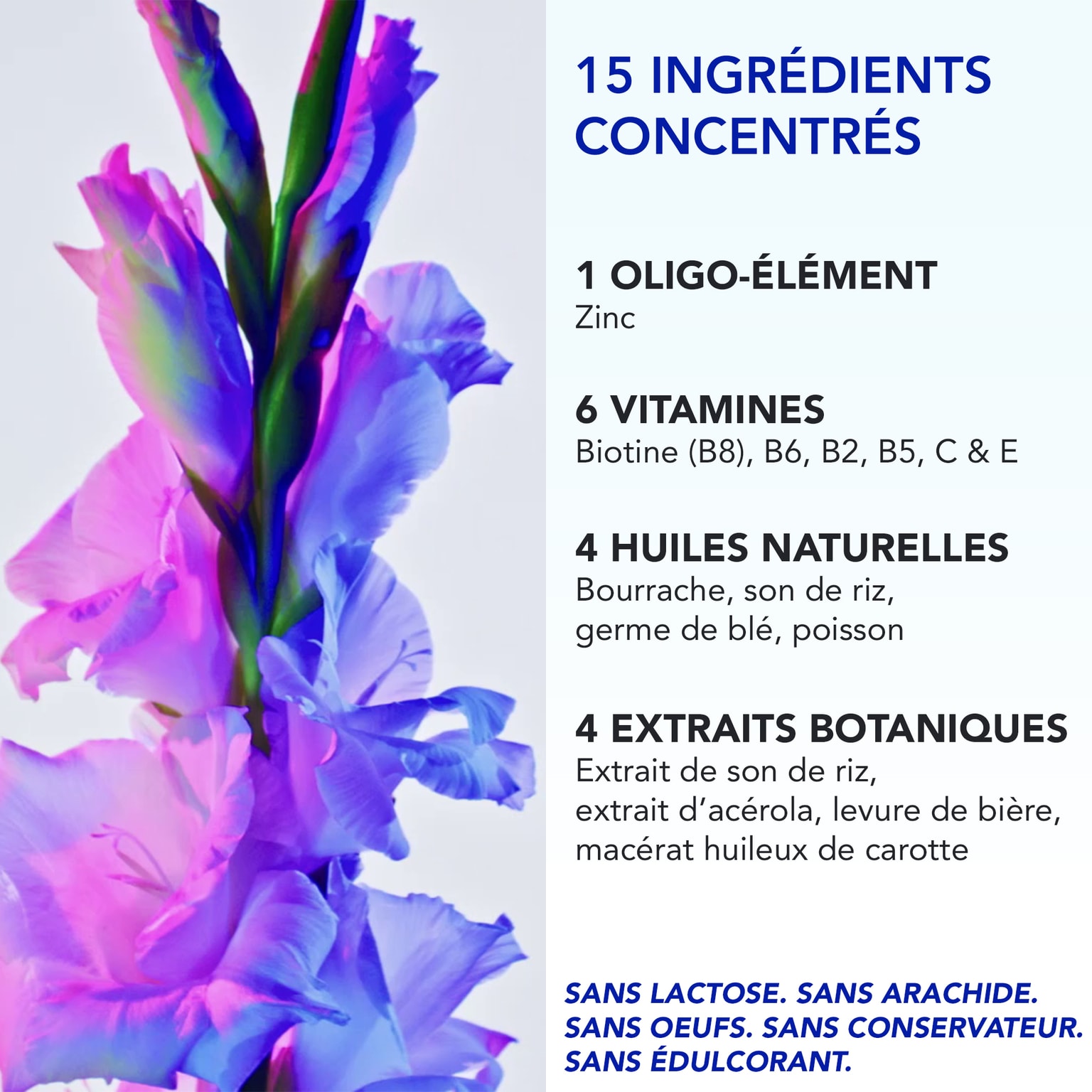 Phytophanere Duo Complément alimentaire capsules cheveux & ongles