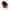 Phytocyane TRAITEMENT ANTICHUTE FEMME