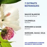 Phyto 7 Elixir Crème de Jour Universelle 100ml