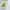 Phyto 7 Elixir Huile Sublimatrice Disciplinante