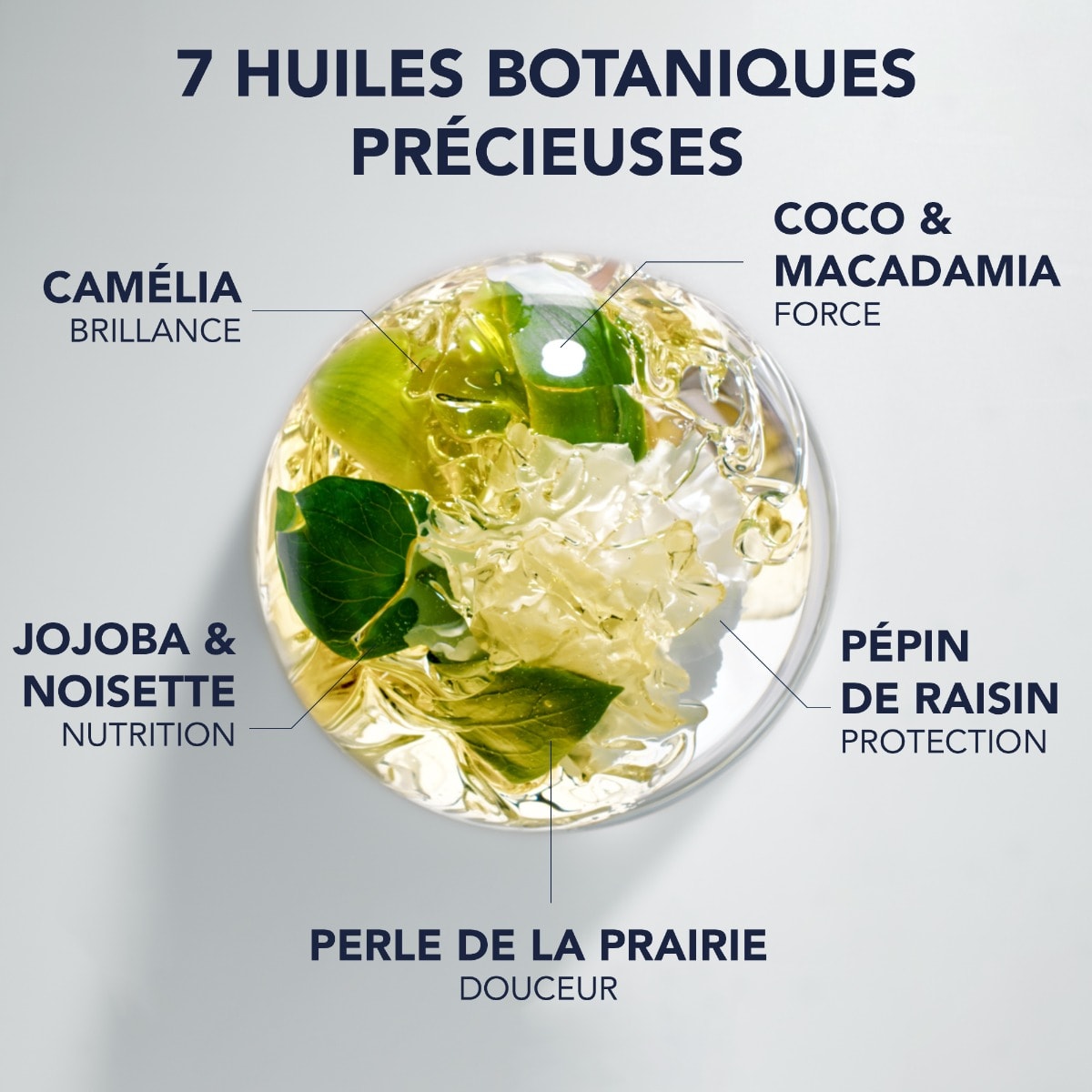 Phyto 7 Elixir Huile Sublimatrice Universelle