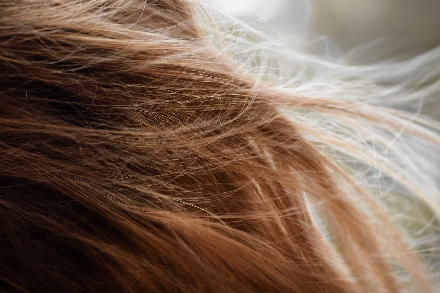 Cheveux abîmés par l'été : la routine réparation pour reconstruire la fibre avant l'automne